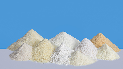A cross section of HOCHDORF's milk powders